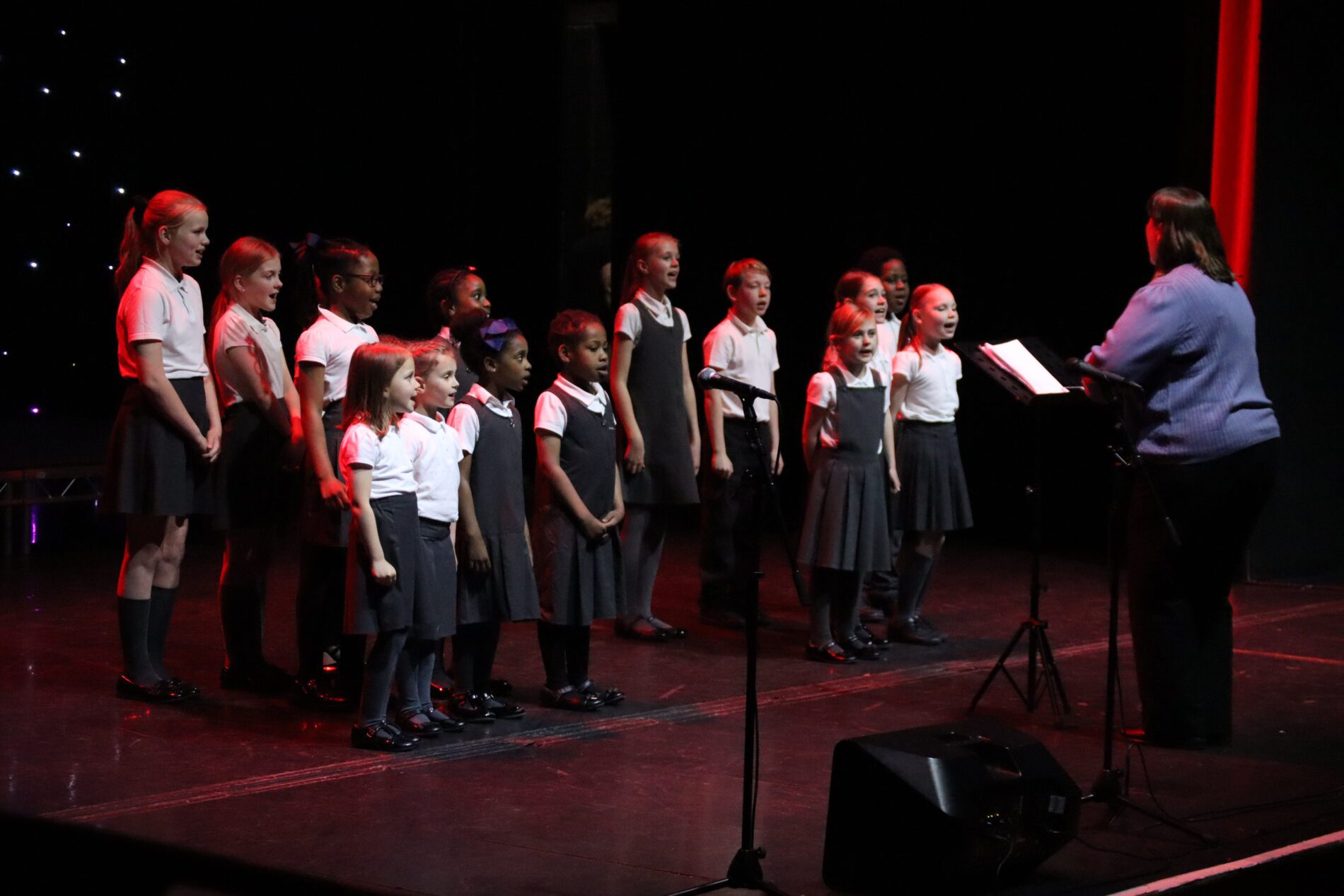 Sedleys choir performing at the woodville