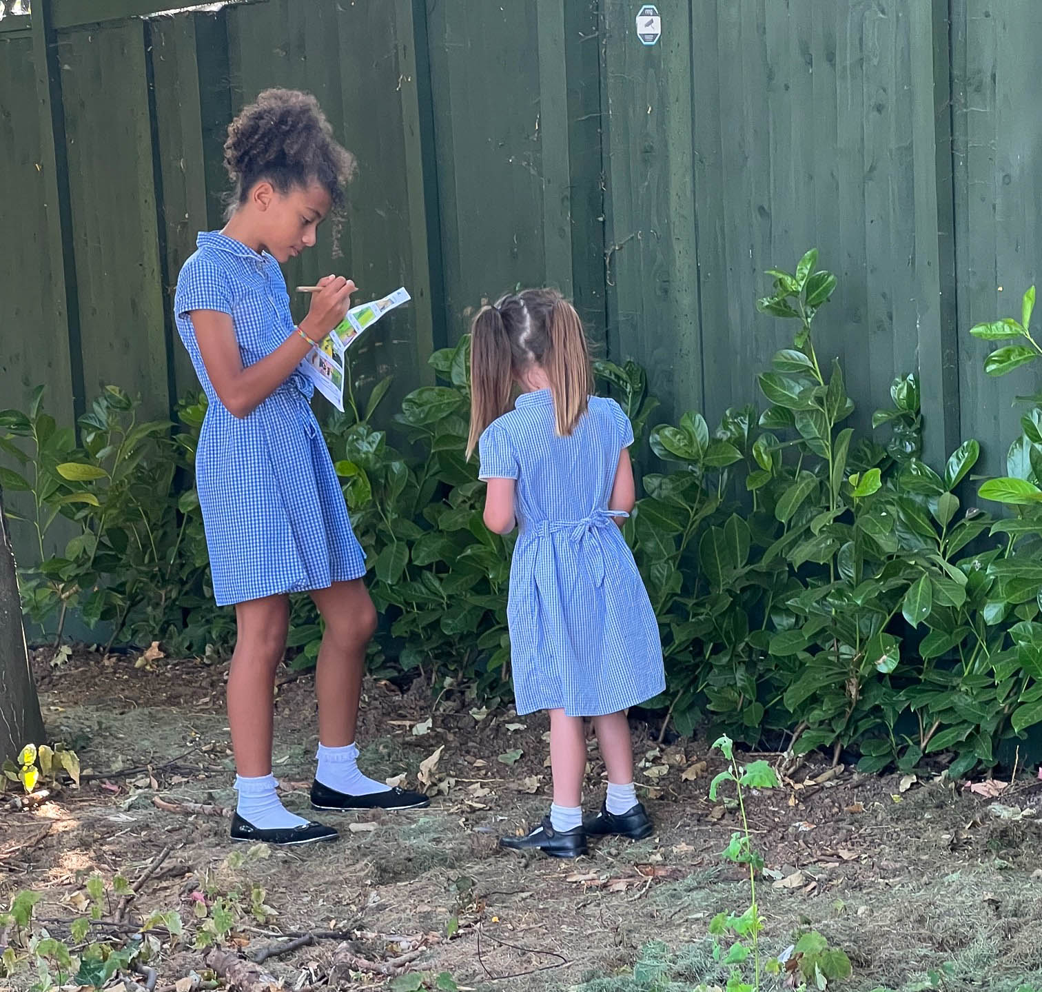 294102789_167421852512393_1991765741331120537_n a younger and older pupil investigating outdoor plants