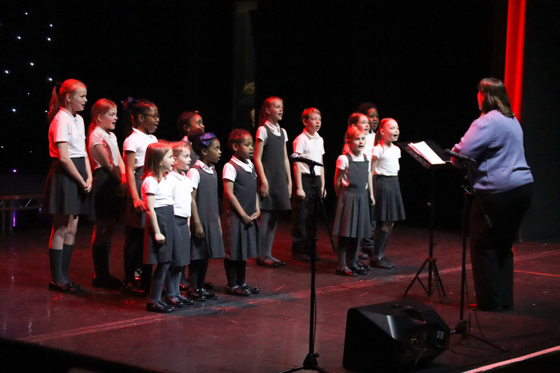 IMG_3638 group of sedleys pupils singing on the stage at the woodville